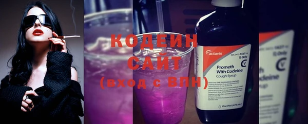 прущие крисы Абаза