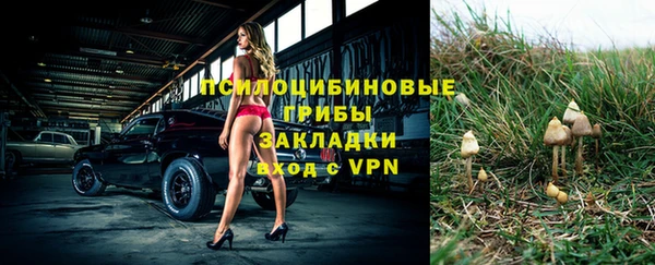 а пвп мука Осинники